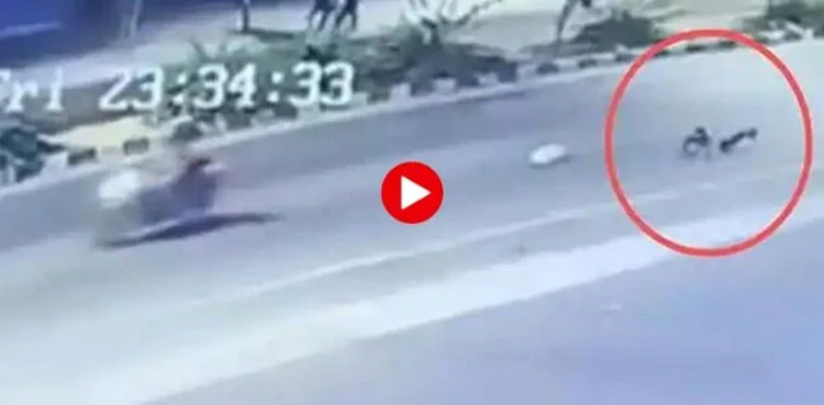 woman jumps off, speeding bike,