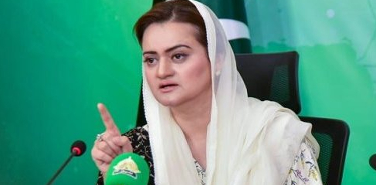 Marriyum Aurangzeb, media reports, caretaker PM