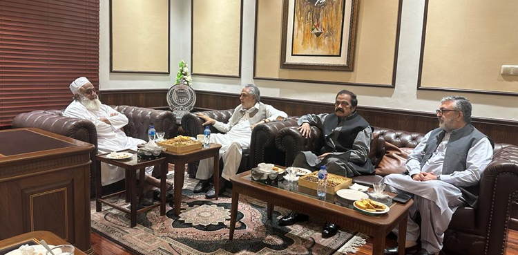 Maulana Fazlur Rehman, PDM protest