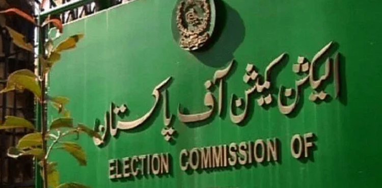 ECP, accounts statement, political parties