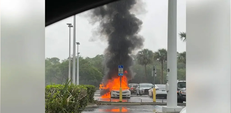 VIRAL, Florida Woman, car catches fire, shoplifting