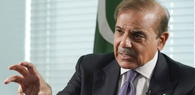 PM Shehbaz Sharif, Freelance, launched