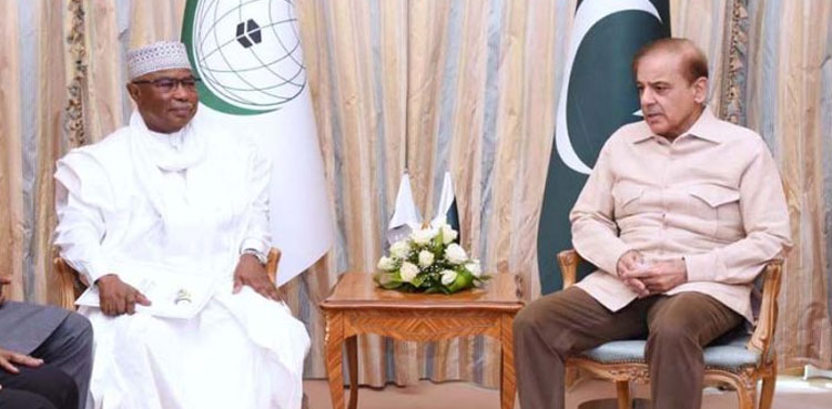 PM Shehbaz, OIC, Islamophobia