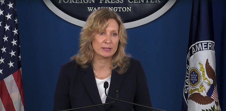 Beth Van Schaack says international justice system is intricate