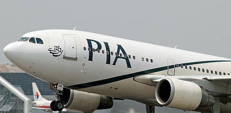 PIA, narrowly escape, PIA accident , Plane hit dog