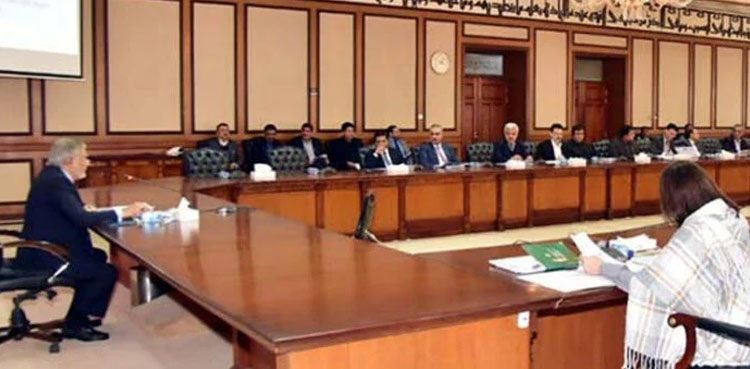 development projects, ECNEC, government tenure