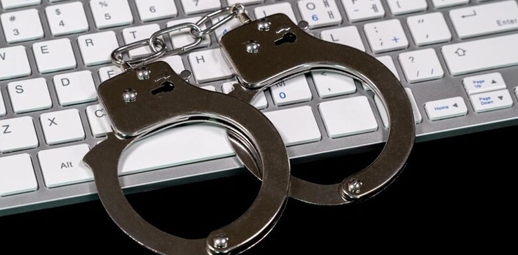 FIA cybercrime wing, powers, social media offences