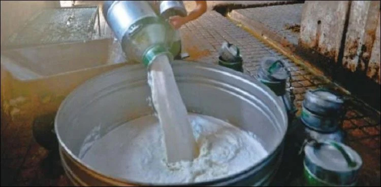 Milk, yogurt prices, Ramazan 2025