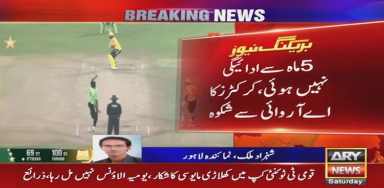 Pakistan domestic cricketers, Pakistan cricketers contracts, National T20 Cup