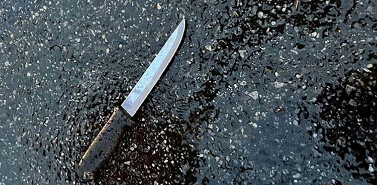 New York man stabs, family members, police officers