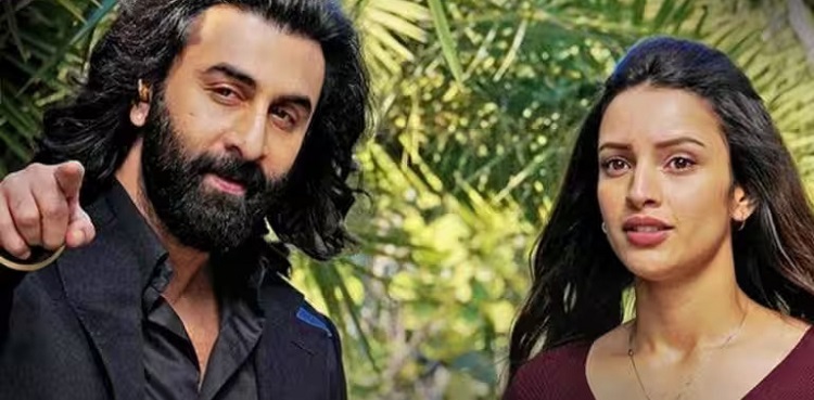 tripti dimri, animal, ranbir kapoor, sara ali khan