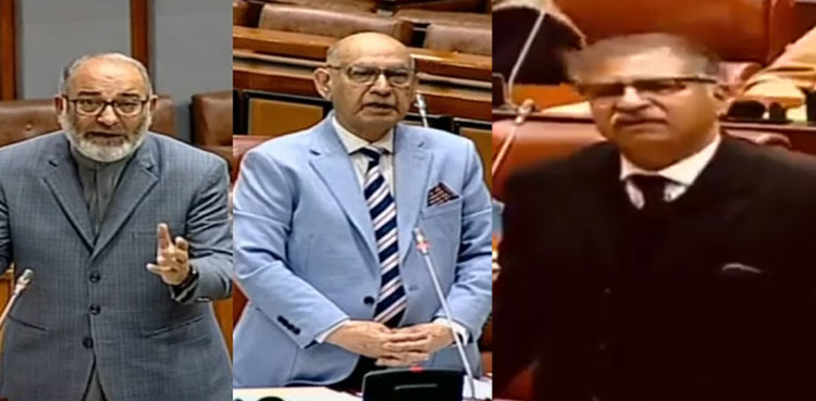 Senators, Feb 8 elections, Senate