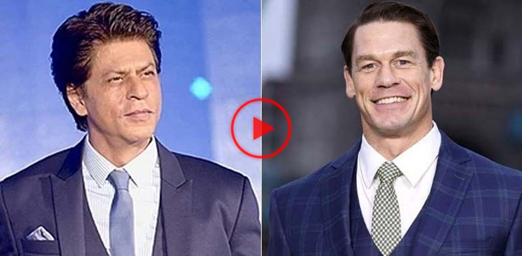 shah rukh khan, john cena, wwe, bollywood, wwe superstar, bollywood song, bollywood movie, shah rukh khan song, viral video, viral, video,