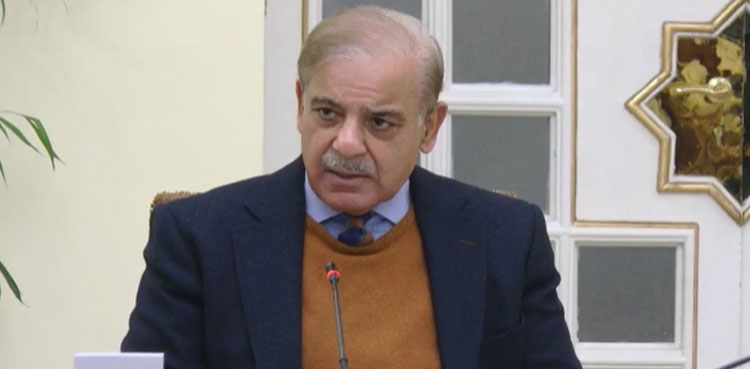 Danish Schools network PM Shehbaz Sharif