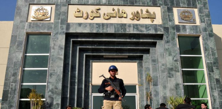 Bushra Gohar Constitutional amendments challenge