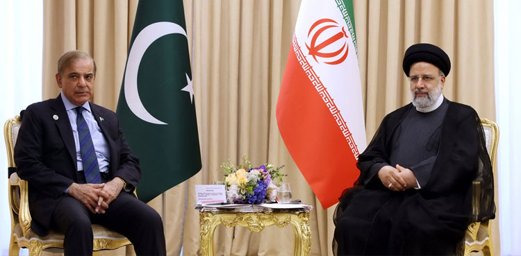Iran president Ebrahim Raisi, visit Pakistan, FM Dar, Ishaq Dar