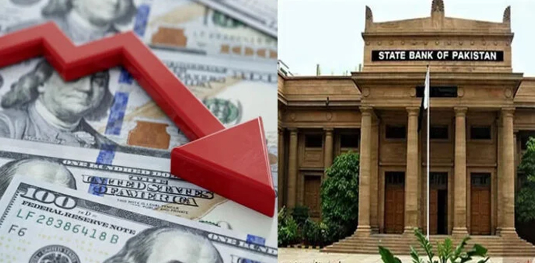 Pakistan central bank, SBP, 13pc increase, imports