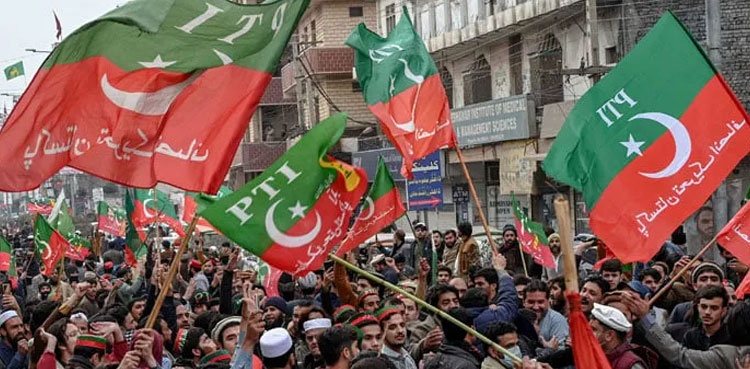 PTI protest, Government employees,