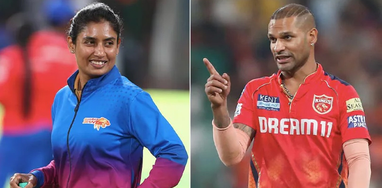 marrying, Mithali Raj, Shikhar Dhawan, wild rumour
