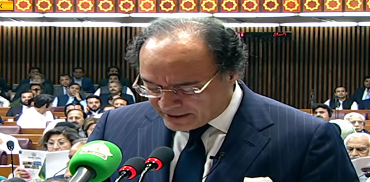 Pakistan Budget 2024, Muhammad Aurangzeb