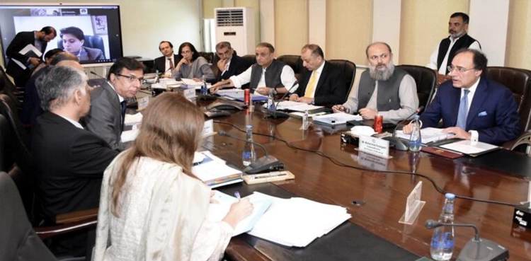 ECC, Special Investment Facilitation Council, SIFC