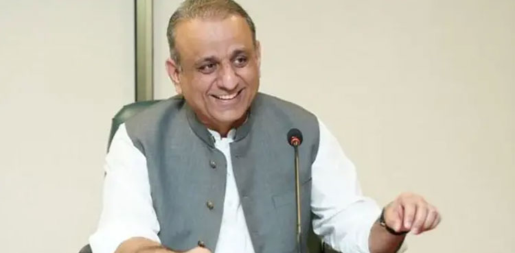 Aleem Khan, privatisation commission