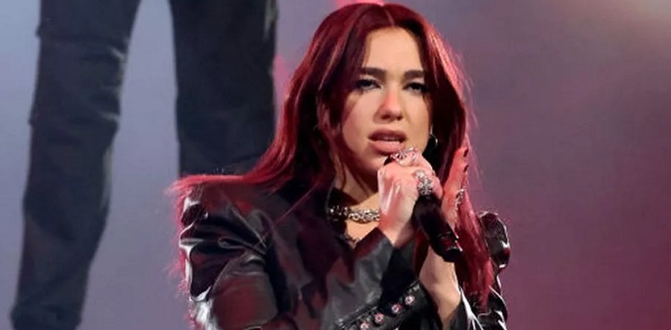 Dua Lipa, UK, Israel, arms sales