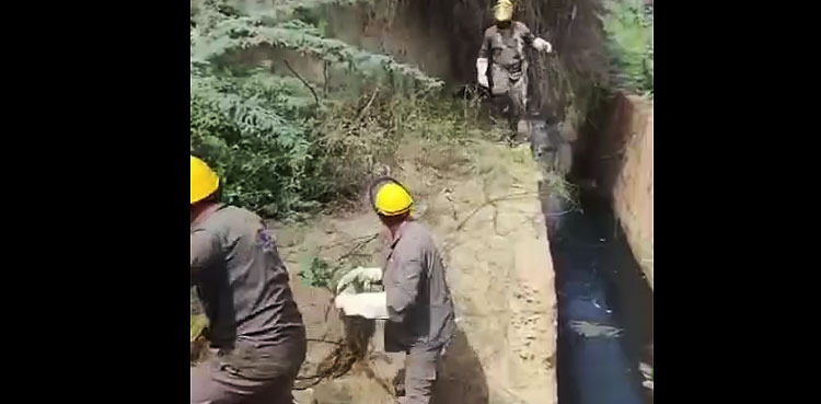 K-Electric removes 800 kundas in Surjani Town and Korangi