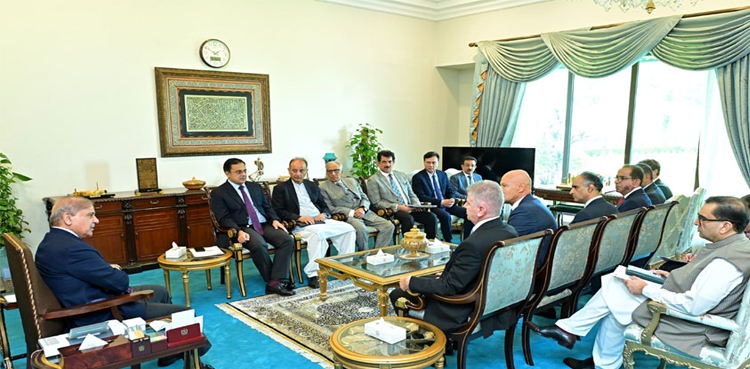 PM Shehbaz investment