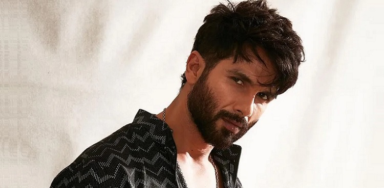 shahid kapoor, on south indian film