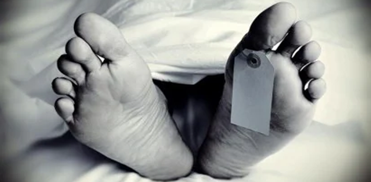 karachi, robbery video, killing video, Online rider killed, Karachi murder, Karachi snatching