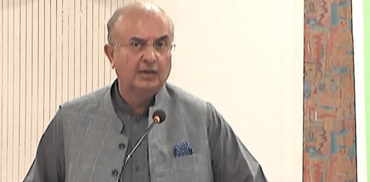 Justice Mansoor Ali Shah, Constitutional bench , Supreme Court