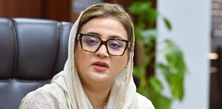 Uzma Bukhari, PTI Founder, Imran Khan, Punjab Politics, PML-N, By-Elections