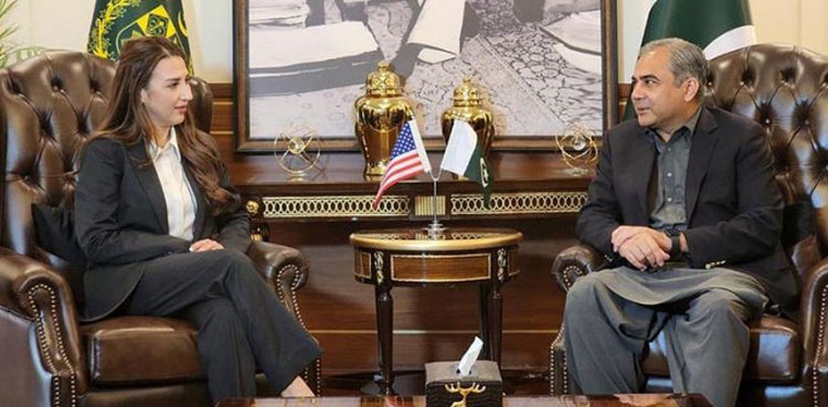 Trump, ceasefire, Pakistan, India, Mohsin Naqvi