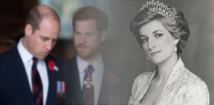 Princess Diana, Prince William, Prince Harry, Royal Family