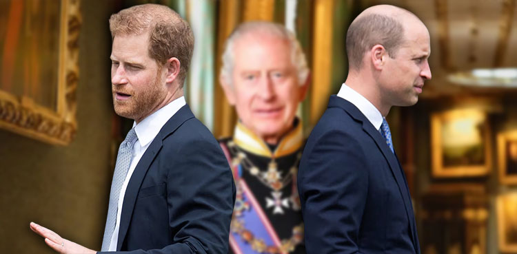 Prince Harry, King Charles, Prince William, Royal Family