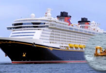 Disney Dream overboard rescue: Father dives to save daughter Disney cruise ship overboard, child falls from cruise ship, Disney cruise safety, father saves daughter at sea, Disney Dream