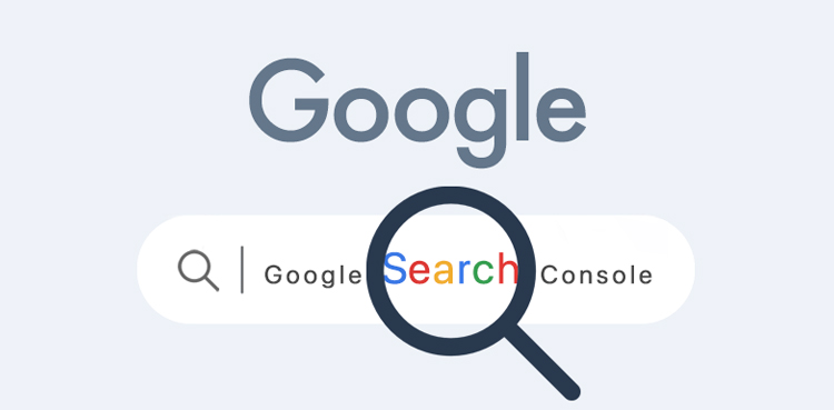 Google, Search Console, Discussion forums, websites