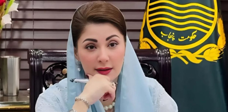 Maryam Nawaz, healthcare reforms, Punjab hospital reforms, CM Red & Blue Code system, emergency care Pakistan